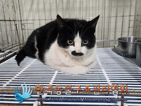 한국동물구조관리협회_441559202400109